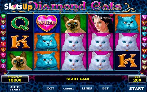 the slot cats|The Slot Cats .